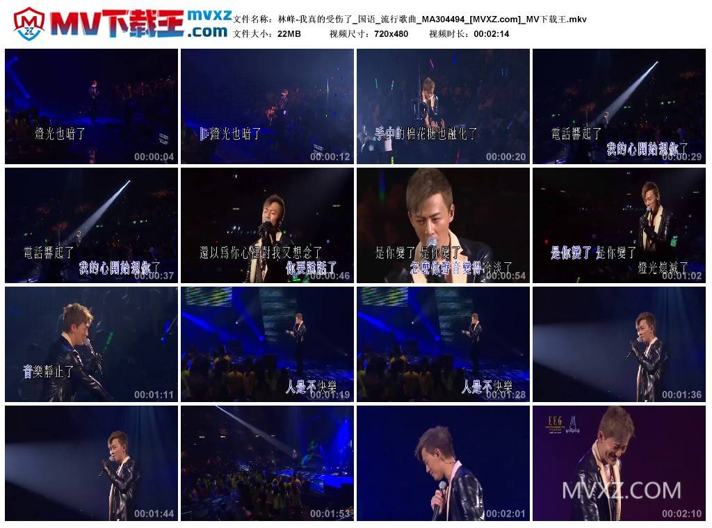 林峰-我真的受伤了_国语_流行歌曲_MA304494